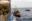 RHIBs werden an Bord der Humanity 1 gezogen