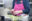 Crewmitglied mit SOS Humanity-T-Shirt und pinker Schürze schneidet Gemüse